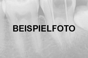 kinderschuhe grau/weiß