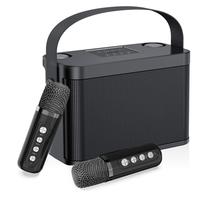 Bluetooth Karaoke Box – Kabellos mit 2 Mikrofonen für Kinder und Erwachsene (Verschiedene Farben)