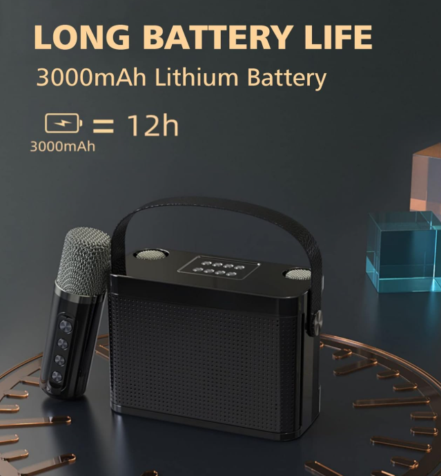 Bluetooth Karaoke Box – Kabellos mit 2 Mikrofonen für Kinder und Erwachsene (Verschiedene Farben)